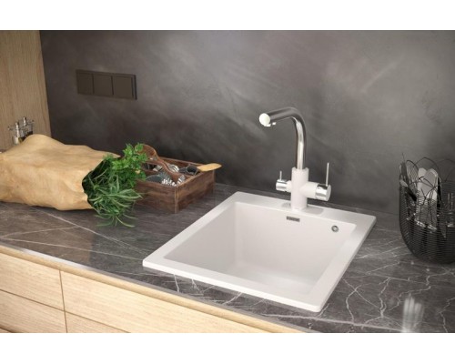 Кухонная мойка Paulmark Praktisch 51 PM105152-WH Белая