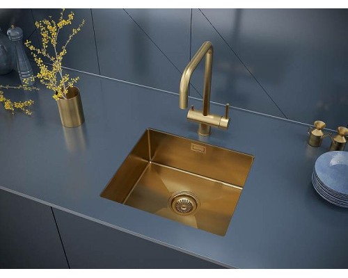 Кухонная мойка Paulmark Aller 44 PM904444-BG Брашированное золото