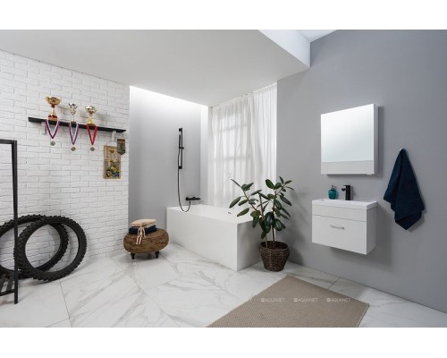 Зеркальный шкаф Aquanet Нота 50 175670 L Белый