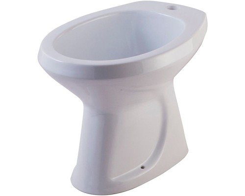 Биде Rosa Люкс 4620008191256 приставное Белое