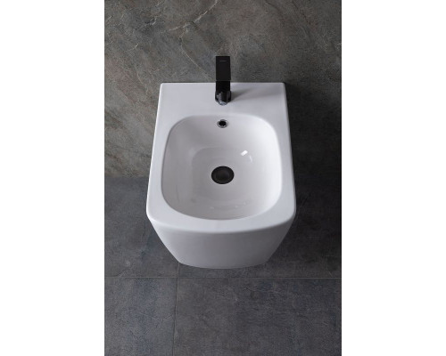 Биде Allen Brau Liberty 4.33005.20 подвесное Белое