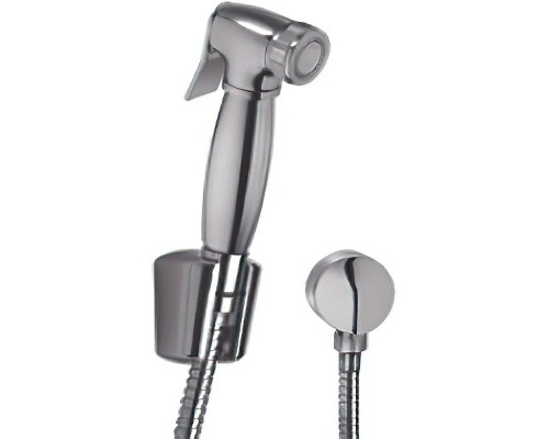 Гигиенический душ Paini Aria 53CR174KIT Хром
