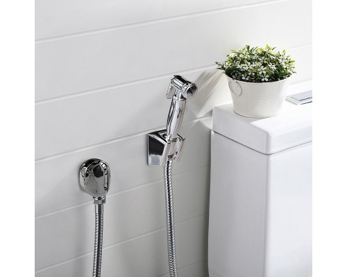 Гигиенический душ Paini Aria 53CR174KIT Хром