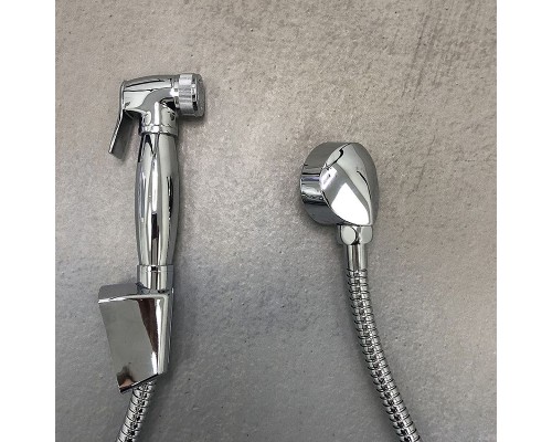 Гигиенический душ Paini Aria 53CR174KIT Хром