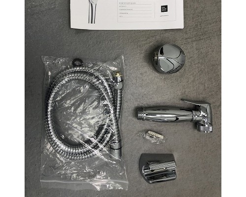 Гигиенический душ Paini Aria 53CR174KIT Хром