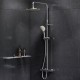 Душевая система AM.PM Gem F0790410 с термостатом Хром
