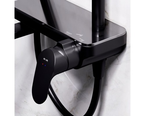 Душевая система AM.PM Like F0780722 Черная матовая