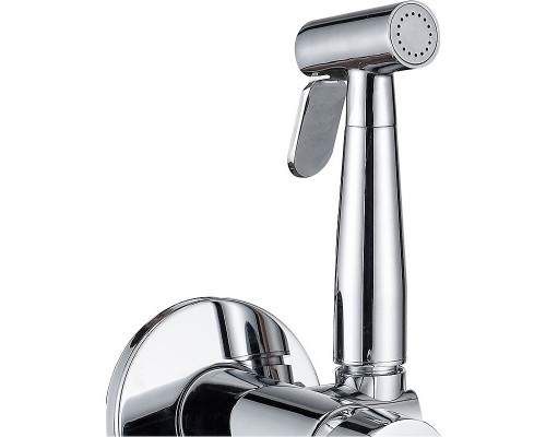 Гигиенический душ со смесителем Aquanet Passion AF300-52С 243317 Хром