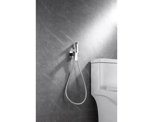 Гигиенический душ со смесителем Allen Brau Infinity 5.21005-00 Хром