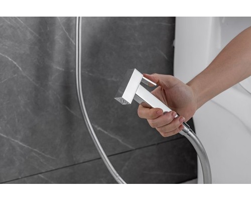 Гигиенический душ со смесителем Allen Brau Infinity 5.21005-00 Хром