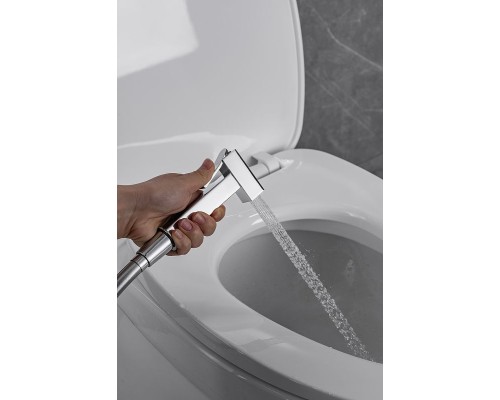 Гигиенический душ со смесителем Allen Brau Infinity 5.21005-00 Хром