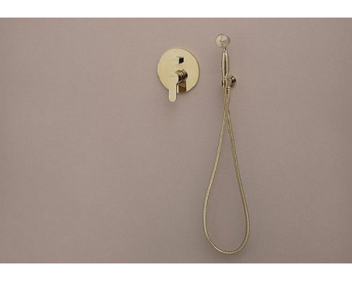 Ручной душ Aquanet Classic ARB07 202246 Золото