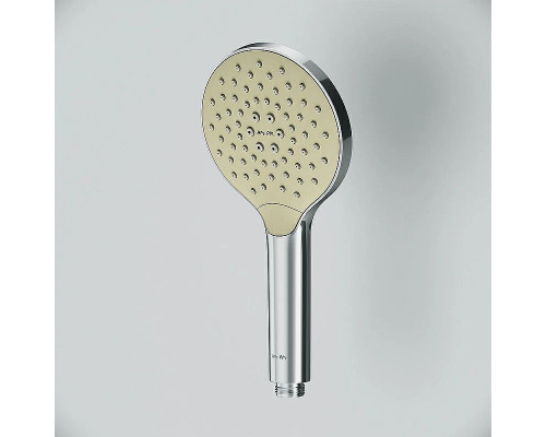 Душевая лейка AM.PM Like F0280000 Хром