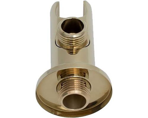 Шланговое подключение Aquanet Classic ARY3010 202251 Золото