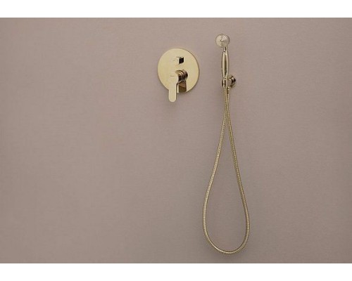 Шланговое подключение Aquanet Classic ARY3010 202251 Золото