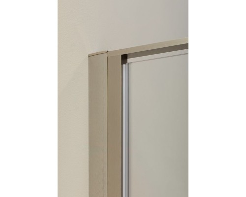 Душевая дверь Allen Brau Priority 100 3.31005.BA профиль Серебро брашированное стекло прозрачное