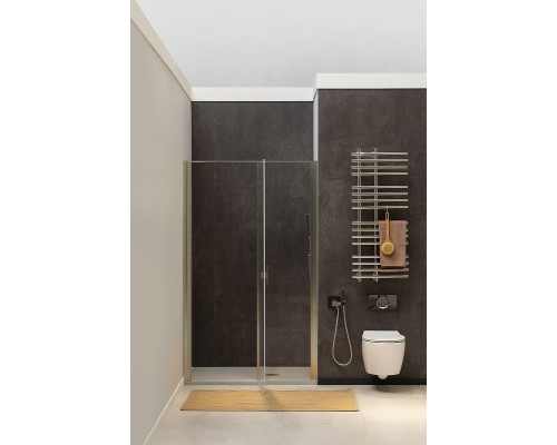 Душевая дверь Allen Brau Priority 100 3.31005.BA профиль Серебро брашированное стекло прозрачное