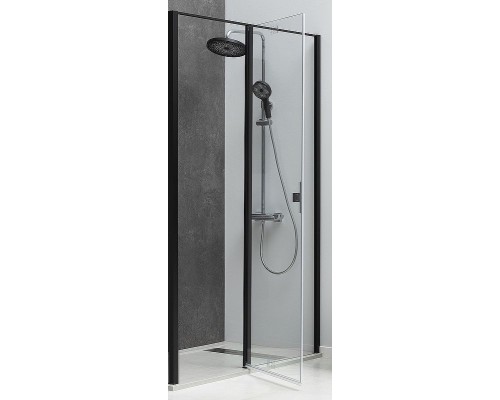 Душевая дверь Allen Brau Priority 100 3.31006.BBA профиль Черный брашированный стекло прозрачное