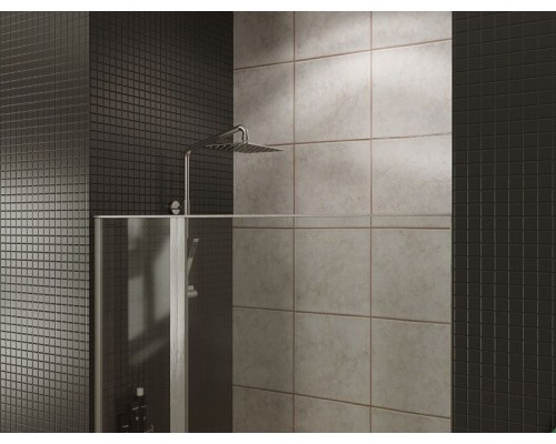 Душевая дверь Allen Brau Priority 120 3.31008.BA профиль Серебро брашированное стекло прозрачное