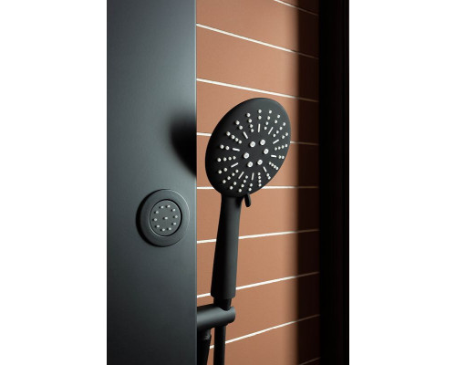 Душевая дверь Aquanet Pleasure AE60-N-160H200U-BT 160 273600 профиль Черный матовый стекло прозрачное