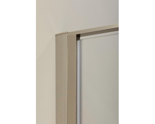 Душевая стенка Allen Brau Priority 90 3.31017.BA профиль Серебро брашированное стекло прозрачное