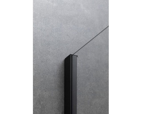 Душевая стенка Allen Brau Priority 90 3.31018.BBA профиль Черный брашированный стекло прозрачное