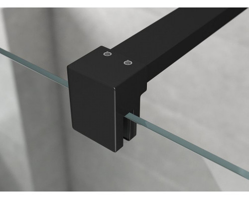 Душевая перегородка Ambassador Walk-in 100х200 15031110 профиль Черный стекло прозрачное
