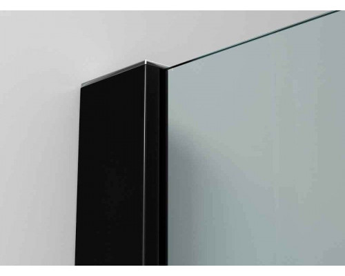 Душевая перегородка Ambassador Walk-in 100х200 15031235 профиль Черный стекло прозрачное