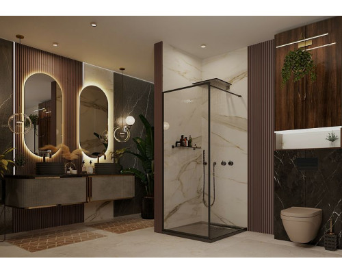 Душевая перегородка Ambassador Walk-in 110х200 15031217 профиль Черный стекло прозрачное