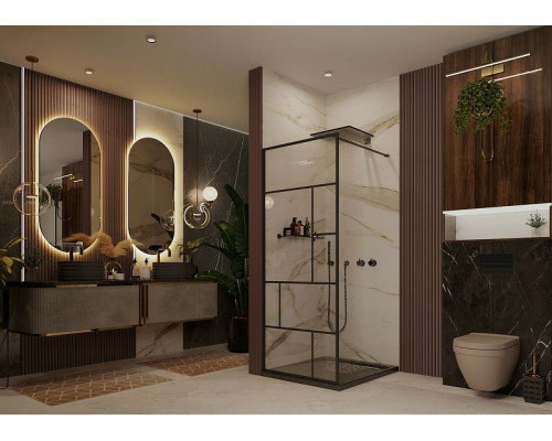 Душевая перегородка Ambassador Walk-in 100х200 15031213 профиль Черный стекло прозрачное