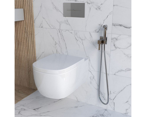 Гигиенический душ со смесителем Paini Kampana 53CR442QRU Хром