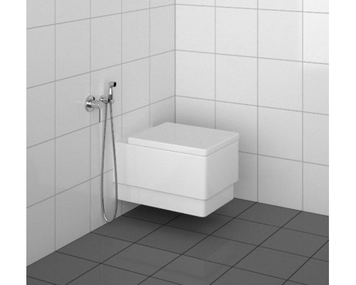 Гигиенический душ со смесителем Kludi Bozz 389990576 Хром