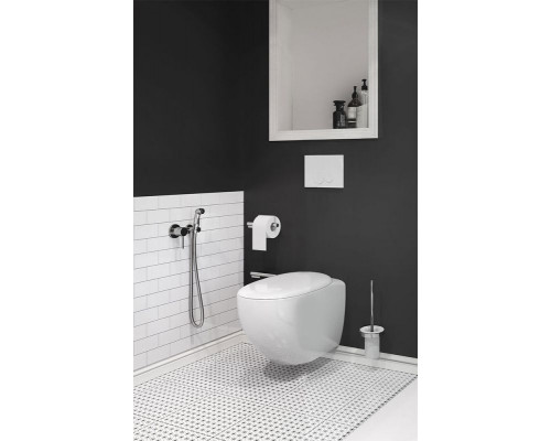 Гигиенический душ со смесителем Kludi Bozz 389990576 Хром