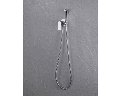 Гигиенический душ со смесителем Abber Weiss Insel AF8025 Хром