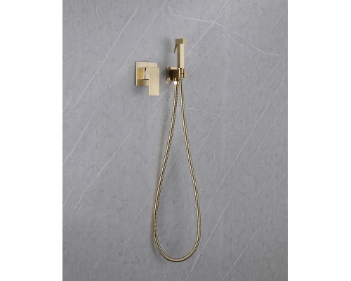 Гигиенический душ со смесителем Abber Daheim AF8225G Золото матовое