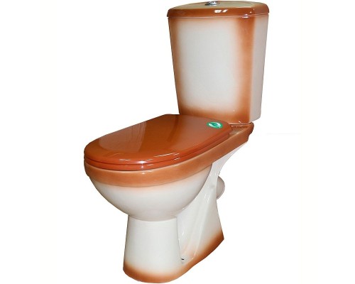 Унитаз компакт Rosa Комфорт 4620008191010 Коричневый декор с бачком и сиденьем