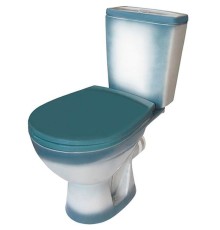 Унитаз компакт Rosa Соло 4640021065778 Зеленый декор с бачком и сиденьем