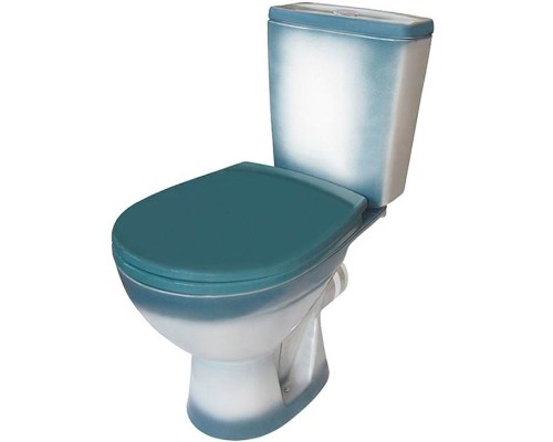 Унитаз компакт Rosa Соло 4640021065778 Зеленый декор с бачком и сиденьем