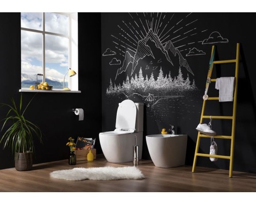 Чаша унитаза-компакта Aquanet Cetus C1 Rimless 00203342 без бачка, с сиденьем Микролифт