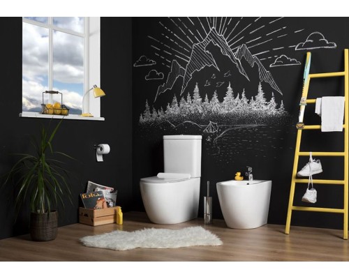 Чаша унитаза-компакта Aquanet Cetus C1 Rimless 00203342 без бачка, с сиденьем Микролифт