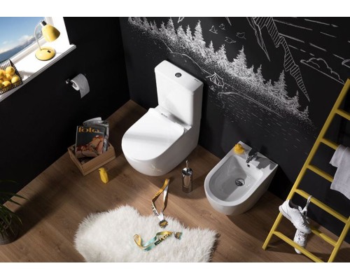 Чаша унитаза-компакта Aquanet Cetus C1 Rimless 00203342 без бачка, с сиденьем Микролифт