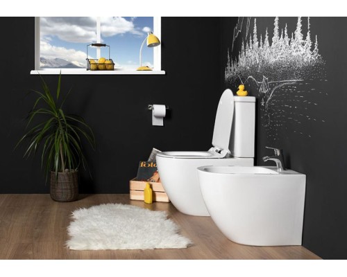 Чаша унитаза-компакта Aquanet Cetus C1 Rimless 00203342 без бачка, с сиденьем Микролифт