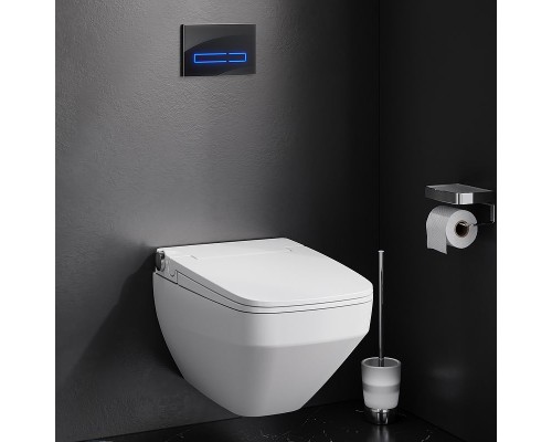 Унитаз-биде AM.PM Inspire V2.0 CCC50A1700SC подвесной с сиденьем Микролифт
