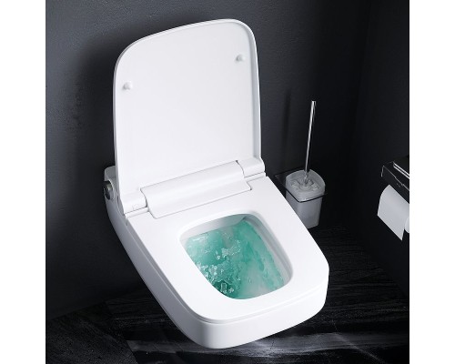 Унитаз-биде AM.PM Inspire V2.0 CCC50A1700SC подвесной с сиденьем Микролифт