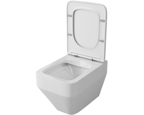 Унитаз Owl 1975 Eld Ruta-H OWLT190601 подвесной с сиденьем Микролифт