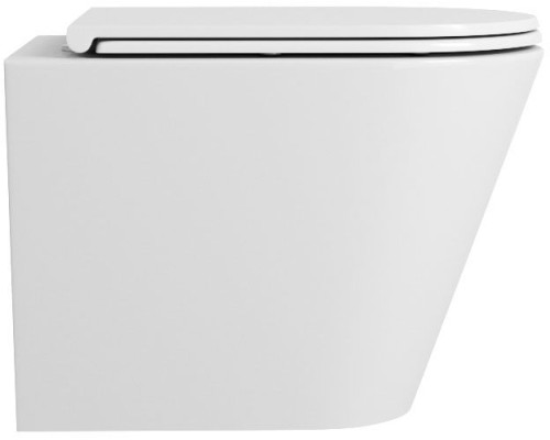 Унитаз Owl 1975 Vind Ruta-H OWLT190304 подвесной с сиденьем Микролифт