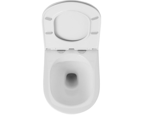 Унитаз Owl 1975 Vind Ruta-H OWLT190304 подвесной с сиденьем Микролифт