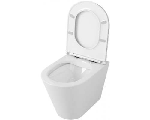 Унитаз Owl 1975 Vind Ruta-H OWLT190304 подвесной с сиденьем Микролифт