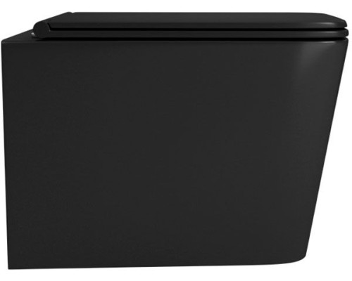 Унитаз Owl 1975 Vatter Ruta-H OWLT190404 подвесной с сиденьем Микролифт