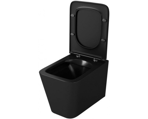 Унитаз Owl 1975 Vatter Ruta-H OWLT190404 подвесной с сиденьем Микролифт